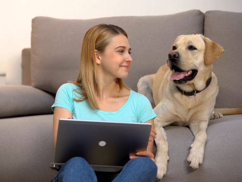 Devojka koristi laptop i mazi psa (zlatnog retrivera) koji sedi pored nje na ugaonoj