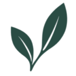 anastasija favicon